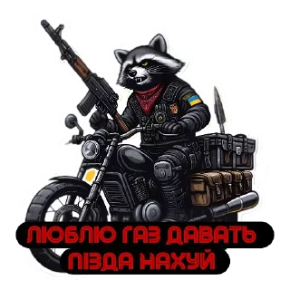 Sticker from Raccoon Warrior 🦝🪖@AUDI_32