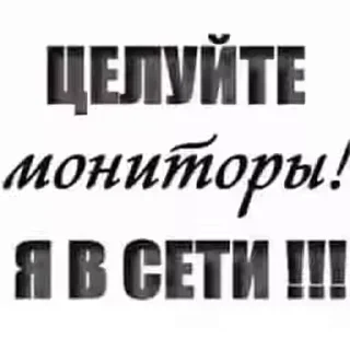 Sticker from My life my rules