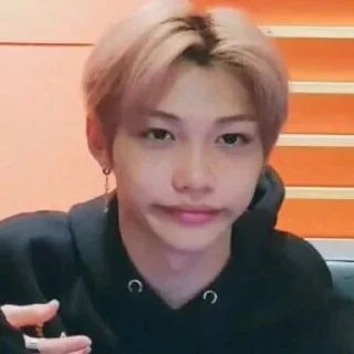 Sticker from Skz