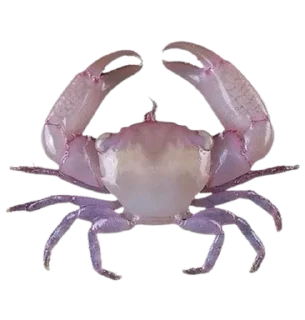 Sticker from То моє море