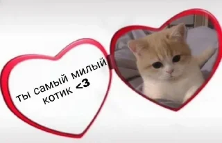 Sticker from 💞Lover💞