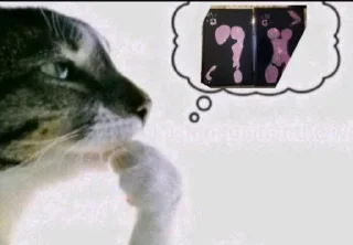 🌟 emoji Фотки из Тиктока Telegram sticker 9 of 120