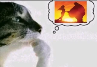 🌟 emoji Фотки из Тиктока Telegram sticker 10 of 120