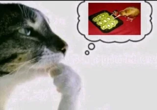 🌟 emoji Фотки из Тиктока Telegram sticker 12 of 120