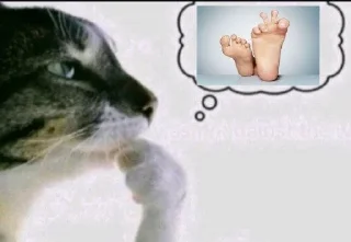 🌟 emoji Фотки из Тиктока Telegram sticker 15 of 120
