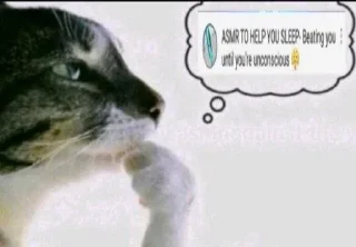 🌟 emoji Фотки из Тиктока Telegram sticker 7 of 120