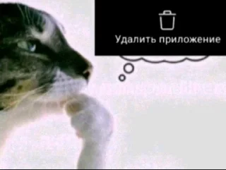 🌟 emoji Фотки из Тиктока Telegram sticker 5 of 120