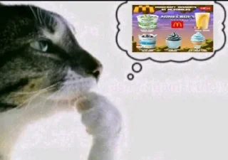 🌟 emoji Фотки из Тиктока Telegram sticker 11 of 120