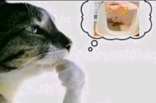🌟 emoji Фотки из Тиктока Telegram sticker 8 of 120