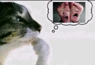 🌟 emoji Фотки из Тиктока Telegram sticker 14 of 120