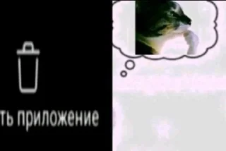 🌟 emoji Фотки из Тиктока Telegram sticker 6 of 120