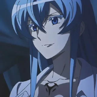 Esdeath💙 sticker 2