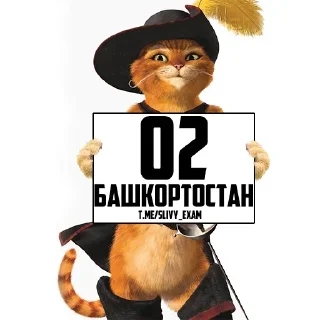 Sticker from ОТВЕТЫ ОГЭ 👉 @hypeanswer
