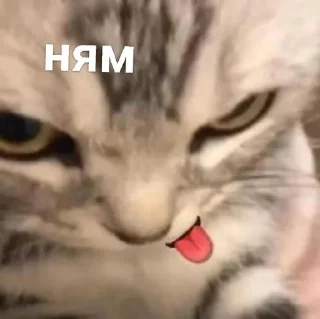 Sticker from Favorite stickers