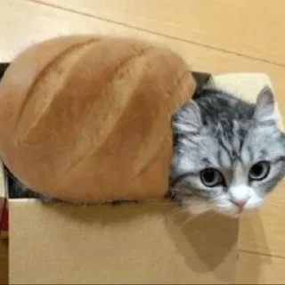 🍞 emoji Komaru @anime4_arts Telegram sticker 3 of 57