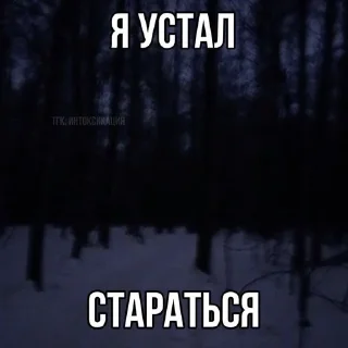 💔 emoji тупые жизненные картинки Telegram sticker 18 of 120