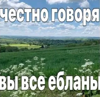 😇 emoji тупые жизненные картинки Telegram sticker 5 of 120