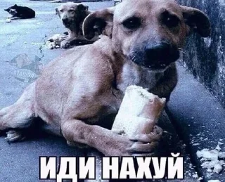 Sticker from чюпеп