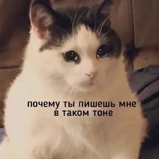 😳 emoji На случай важных переговоров Telegram sticker 23 of 101