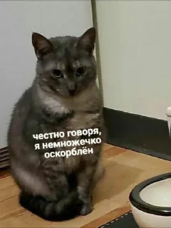 😳 emoji На случай важных переговоров Telegram sticker 18 of 101
