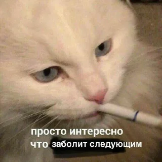 😑 emoji На случай важных переговоров Telegram sticker 24 of 101