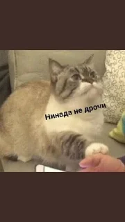 🥵 emoji На случай важных переговоров Telegram sticker 11 of 101