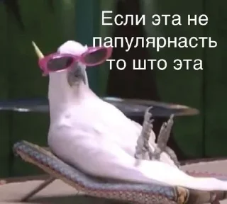 🤩 emoji На случай важных переговоров Telegram sticker 10 of 101