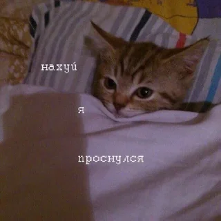 😫 emoji На случай важных переговоров Telegram sticker 2 of 101