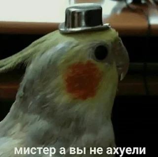 🧐 emoji На случай важных переговоров Telegram sticker 3 of 101