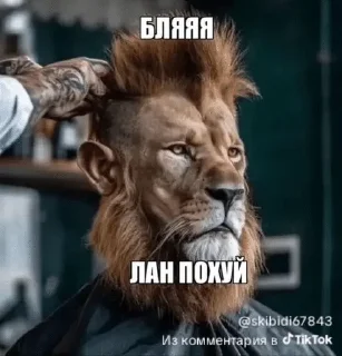 ☹️ emoji 🌟Тик ток Шизофрения# Telegram sticker 20 of 106