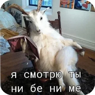 Sticker from Меметебефе by @infotbf