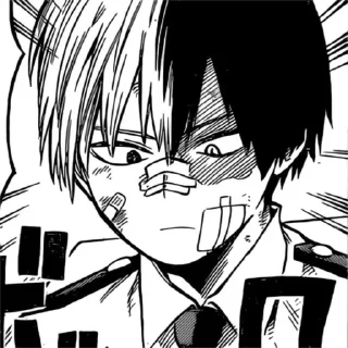 Sticker from | [Todoroki Shouto] |