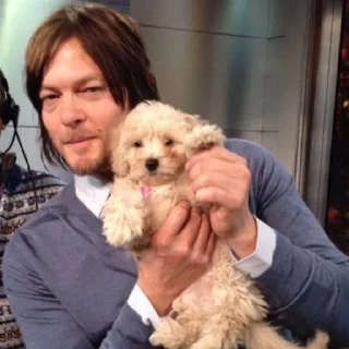 ✨ emoji Norman Reedus Telegram sticker 6 of 32