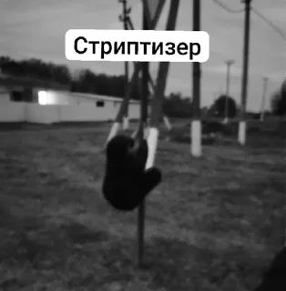 ⚙ emoji Далбоебы с Северного ❤ Telegram sticker 1 of 44