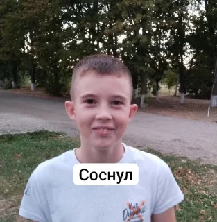 🤫 emoji Далбоебы с Северного ❤ Telegram sticker 4 of 44