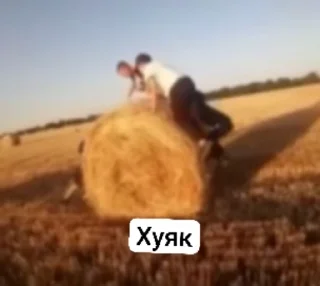 🤕 emoji Далбоебы с Северного ❤ Telegram sticker 17 of 44