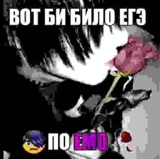 сонялох sticker 4