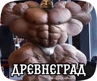 memes sticker 4