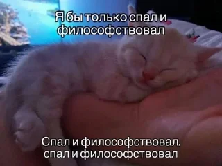 🌟 emoji Прикольные котяры Telegram sticker 4 of 14