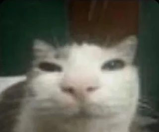 Sticker from котеке и сабаке