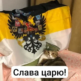 Sticker from Царь Николай ll @stickrubot