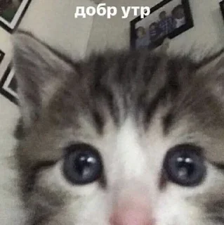 ☀️ emoji пися клёва Telegram sticker 12 of 66