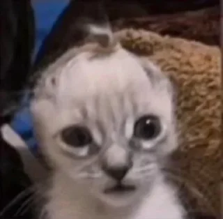 😧 emoji пися клёва Telegram sticker 16 of 66