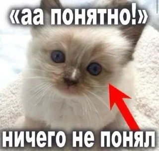 🤓 emoji пися клёва Telegram sticker 20 of 66