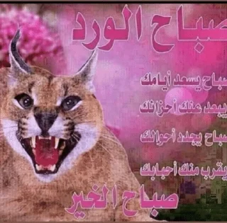 Sticker from пися сонечки хорошей