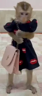 👛 emoji пися клёва Telegram sticker 17 of 66