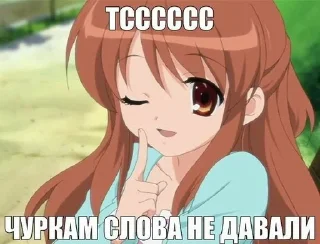 Sticker from чуркестан