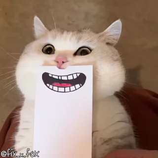 Sticker from Для важных переговоров