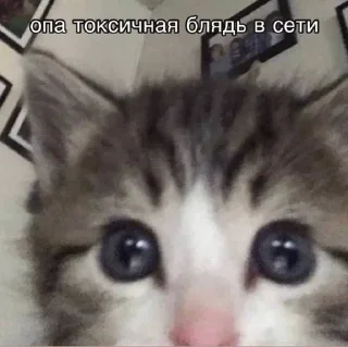 Sticker from для важных переговоров