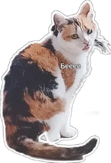 Sticker from Пушистые письки